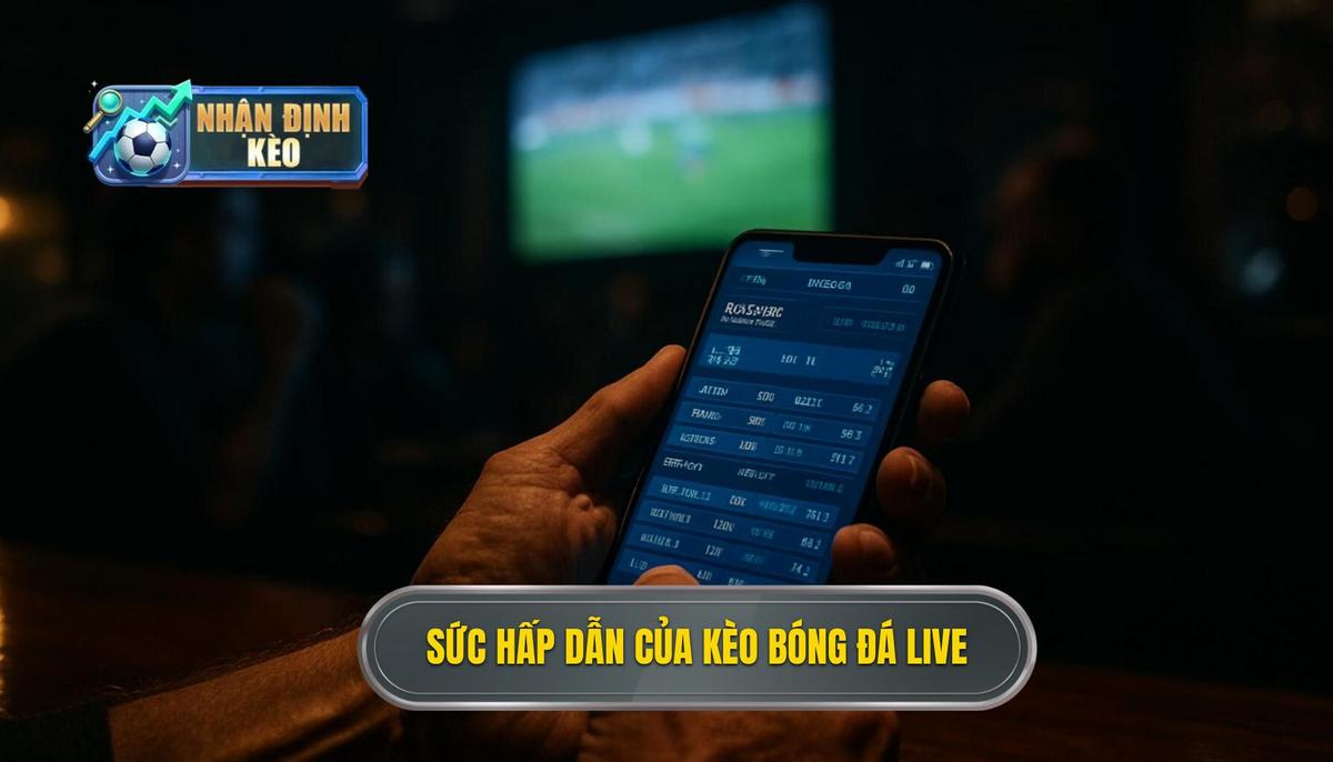 Bản chất và sức hấp dẫn khác biệt của kèo live bóng đá