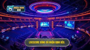 Livescore bóng đá hôm nay: Công cụ không thể thiếu của tín đồ túc cầu giáo