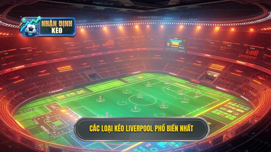 Phân tích các loại kèo phổ biến khi soi kèo Liverpool hôm nay