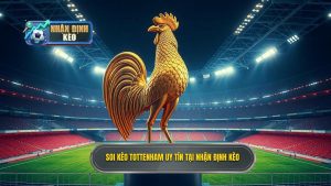 Soi kèo Tottenham hôm nay: Nhận định chính xác từ chuyên gia