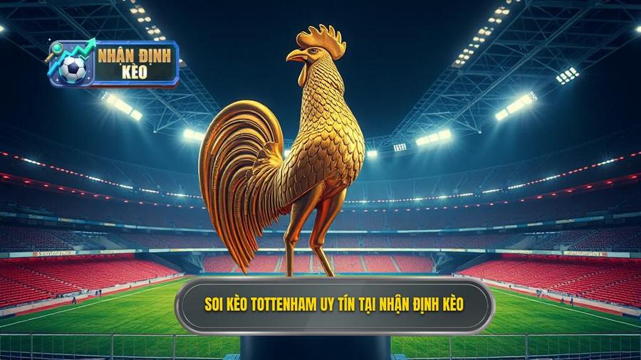 Soi kèo Tottenham hôm nay: Nhận định chính xác từ chuyên gia